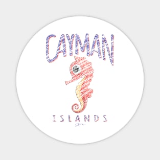 Cayman Islands Cute Seahorse Magnet